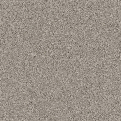 TEXTURE BCF