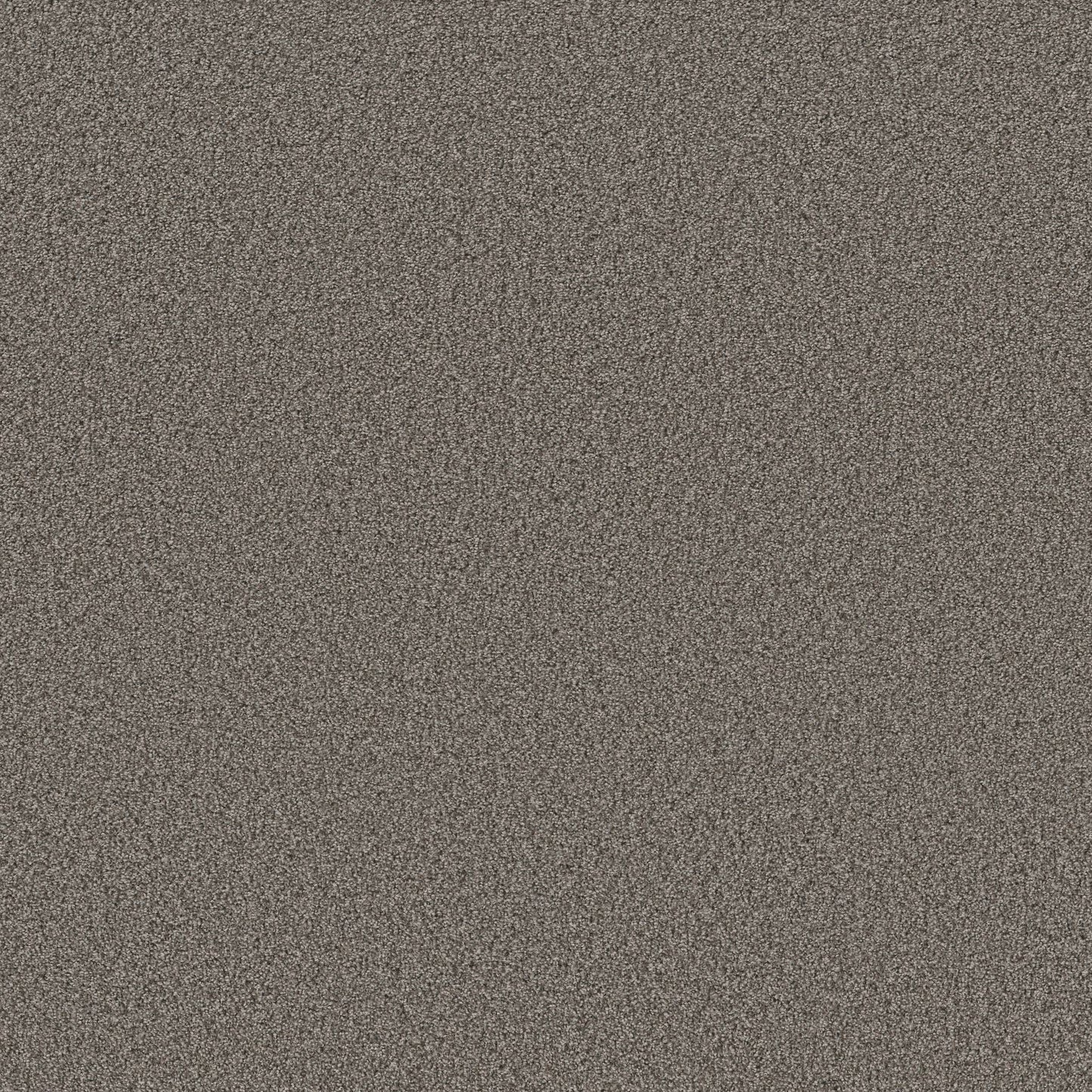TEXTURE BCF