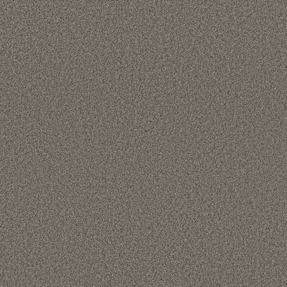 TEXTURE BCF