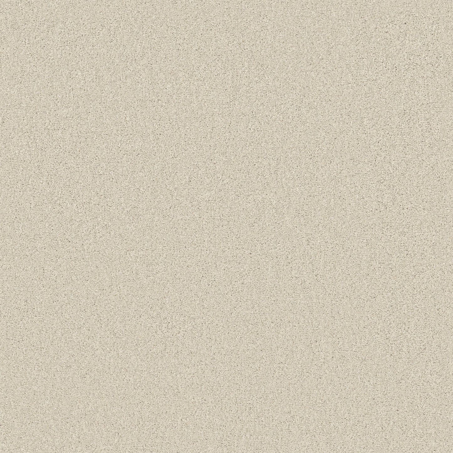 TEXTURE BCF