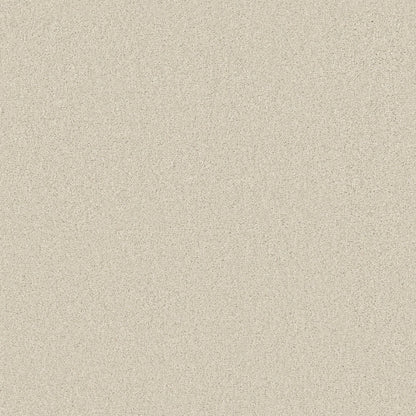 TEXTURE BCF
