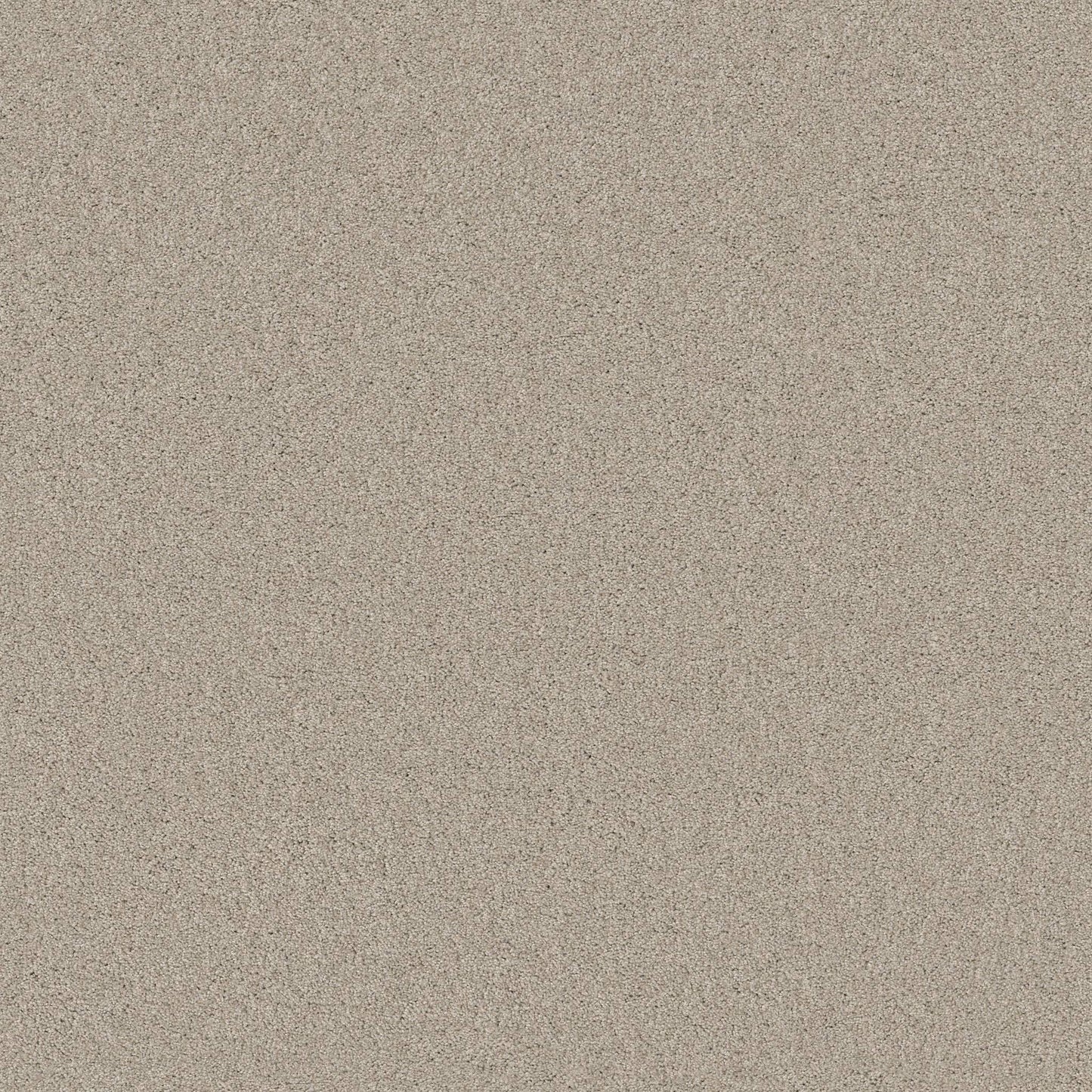 TEXTURE BCF