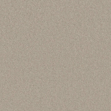 TEXTURE BCF