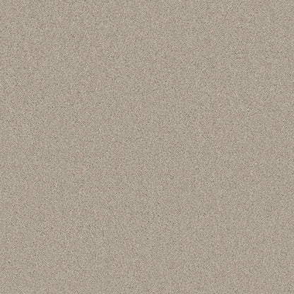 TEXTURE BCF