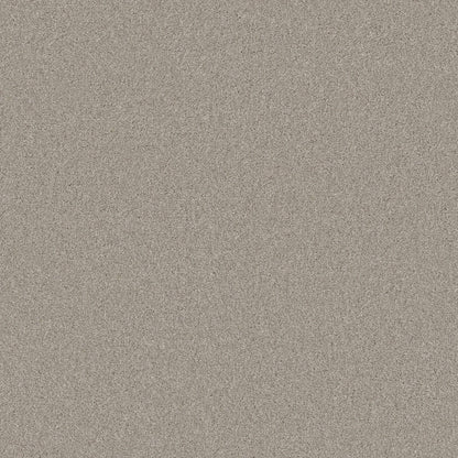 TEXTURE BCF