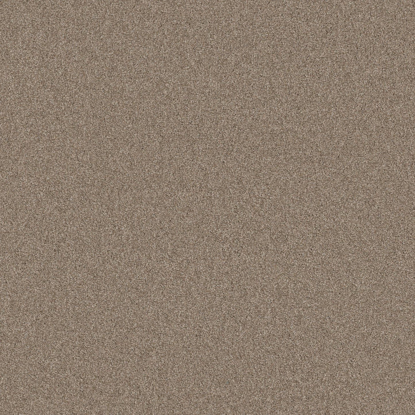 TEXTURE BCF