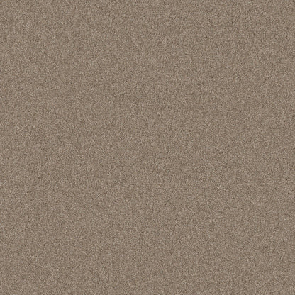 TEXTURE BCF