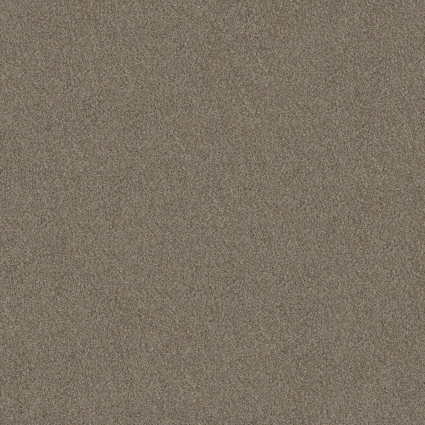 TEXTURE BCF
