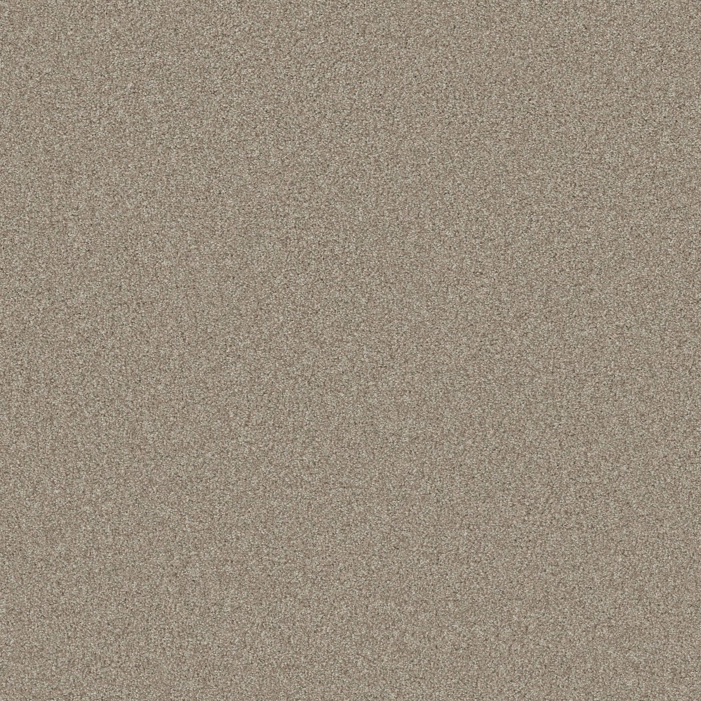 TEXTURE BCF
