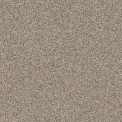 TEXTURE BCF
