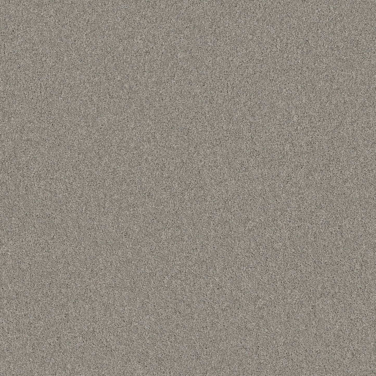 TEXTURE BCF