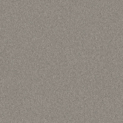 TEXTURE BCF
