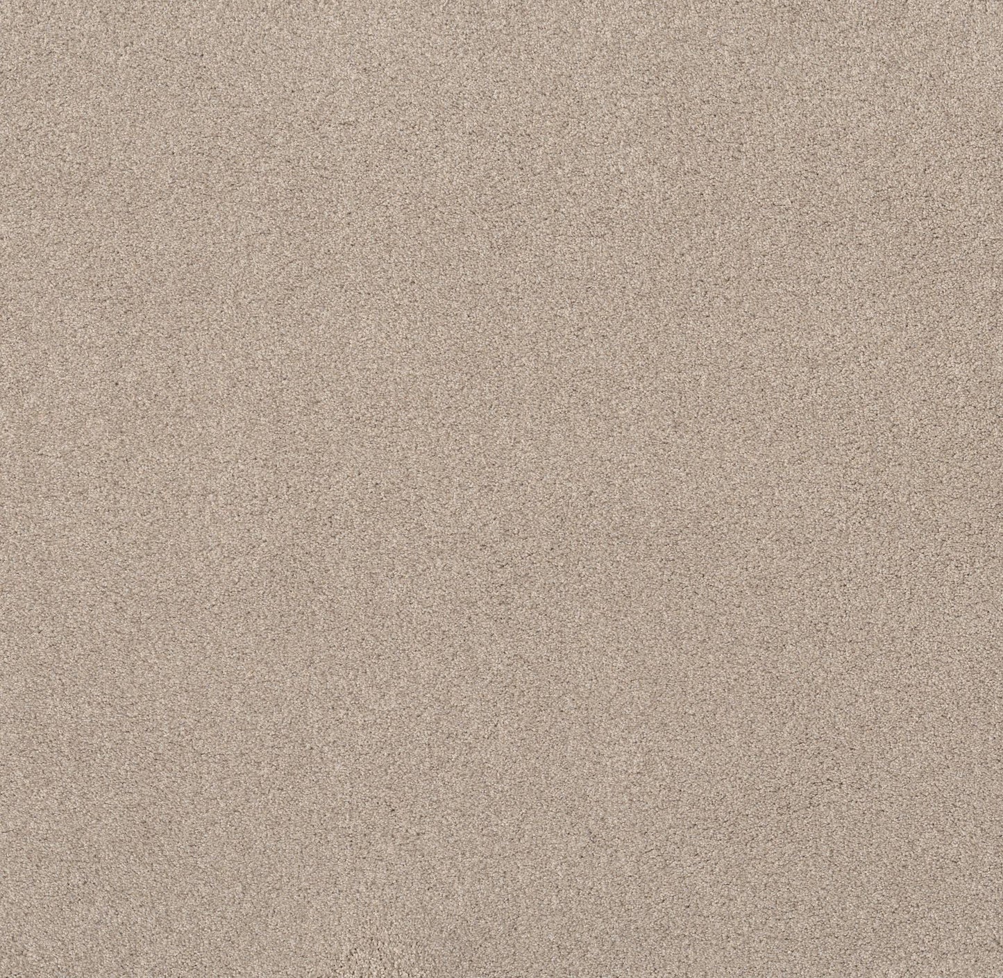 TEXTURE BCF