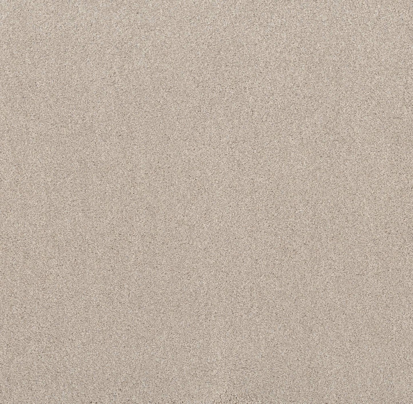 TEXTURE BCF