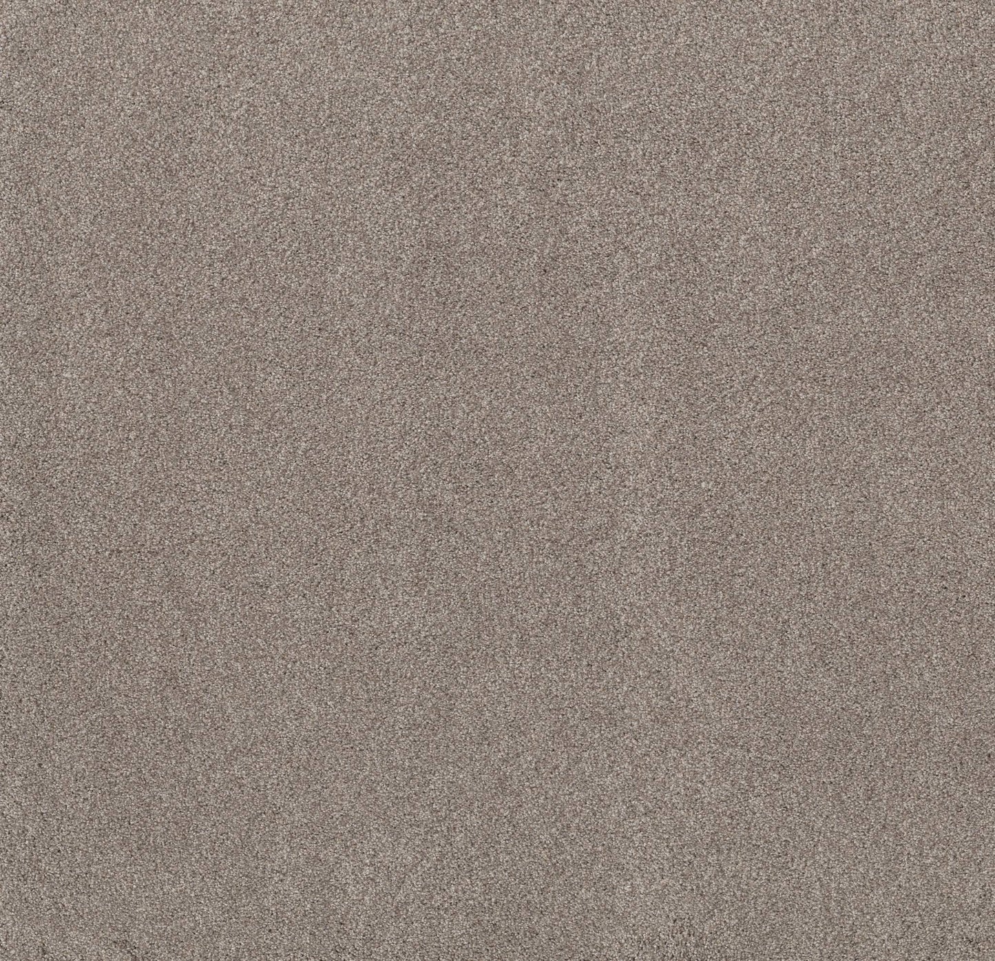 TEXTURE BCF