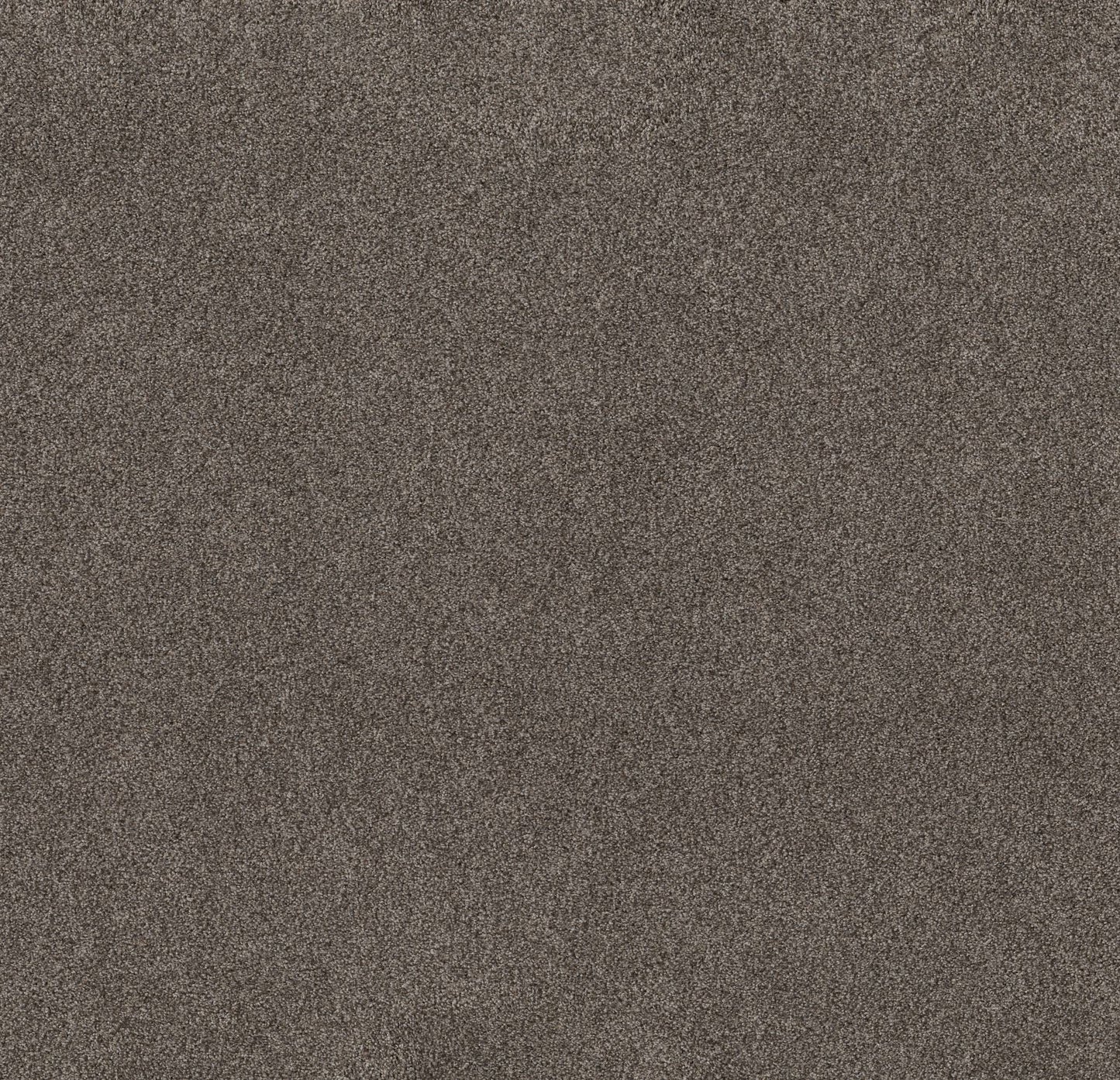 TEXTURE BCF