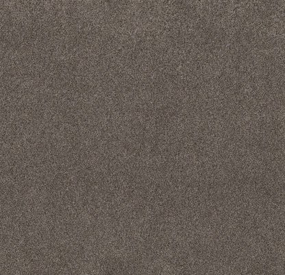 TEXTURE BCF