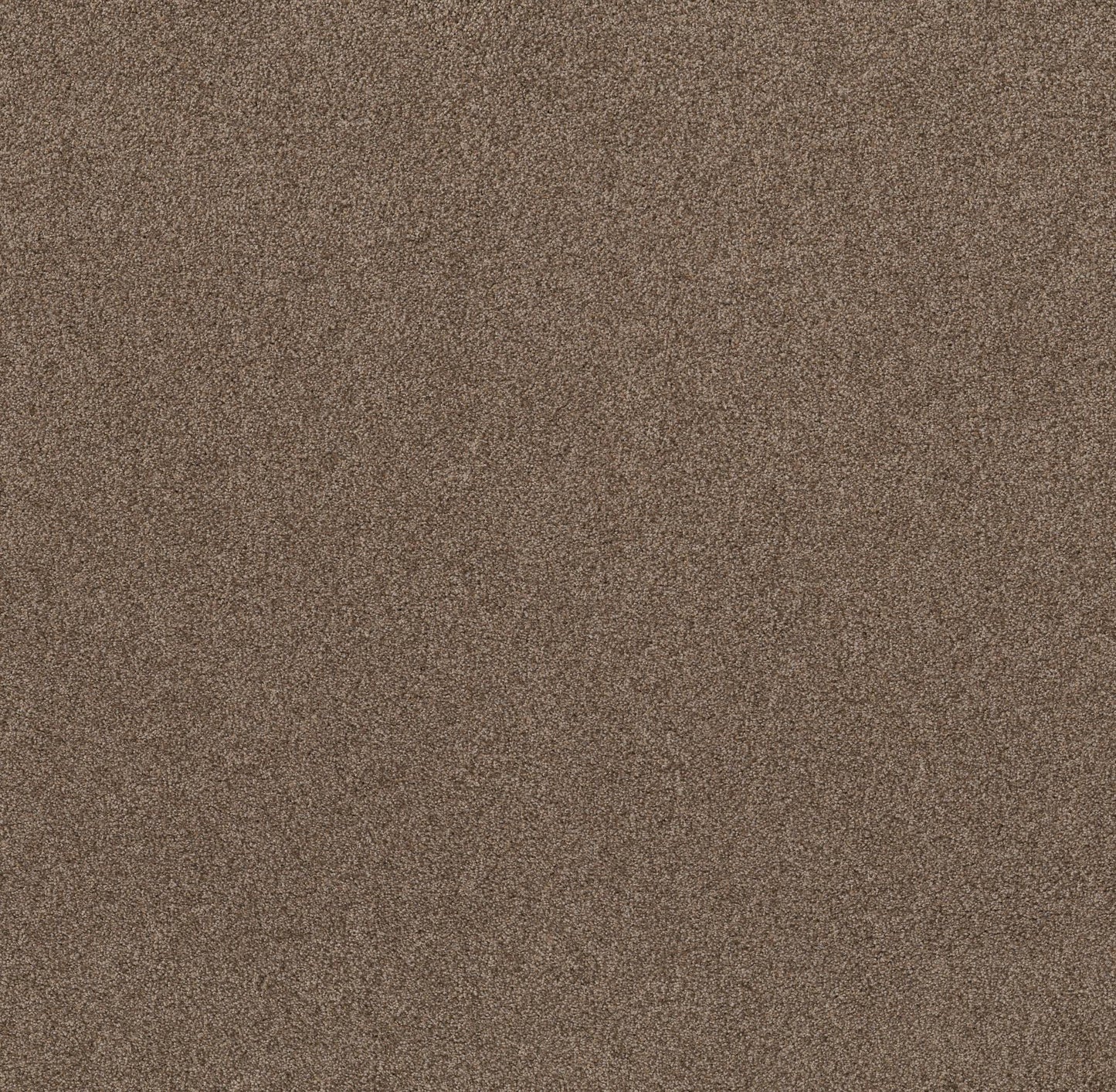 TEXTURE BCF