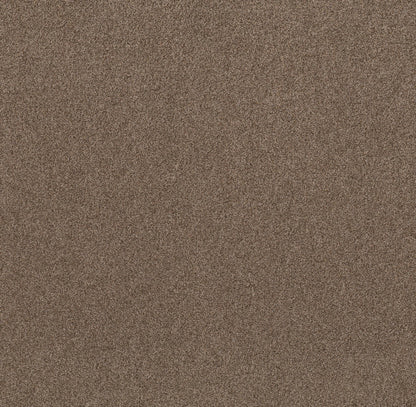 TEXTURE BCF