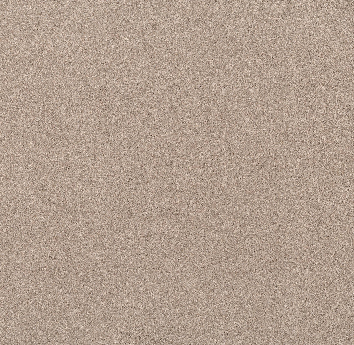 TEXTURE BCF