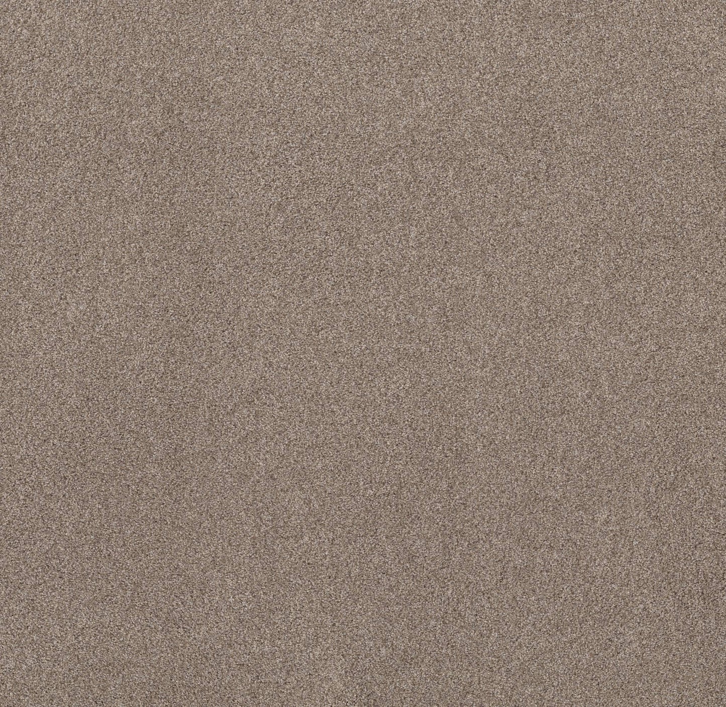 TEXTURE BCF