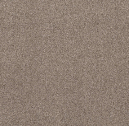 TEXTURE BCF