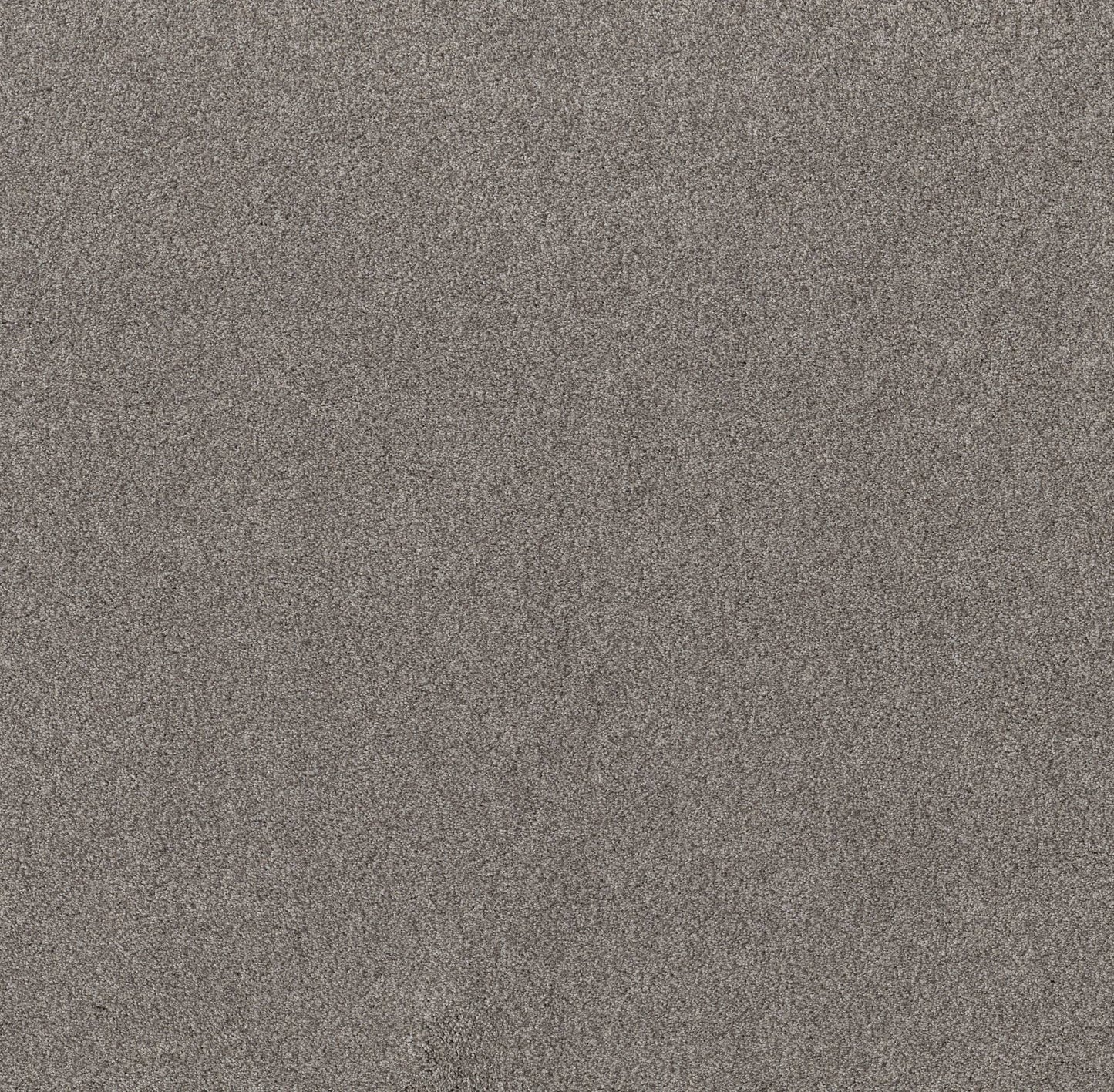 TEXTURE BCF