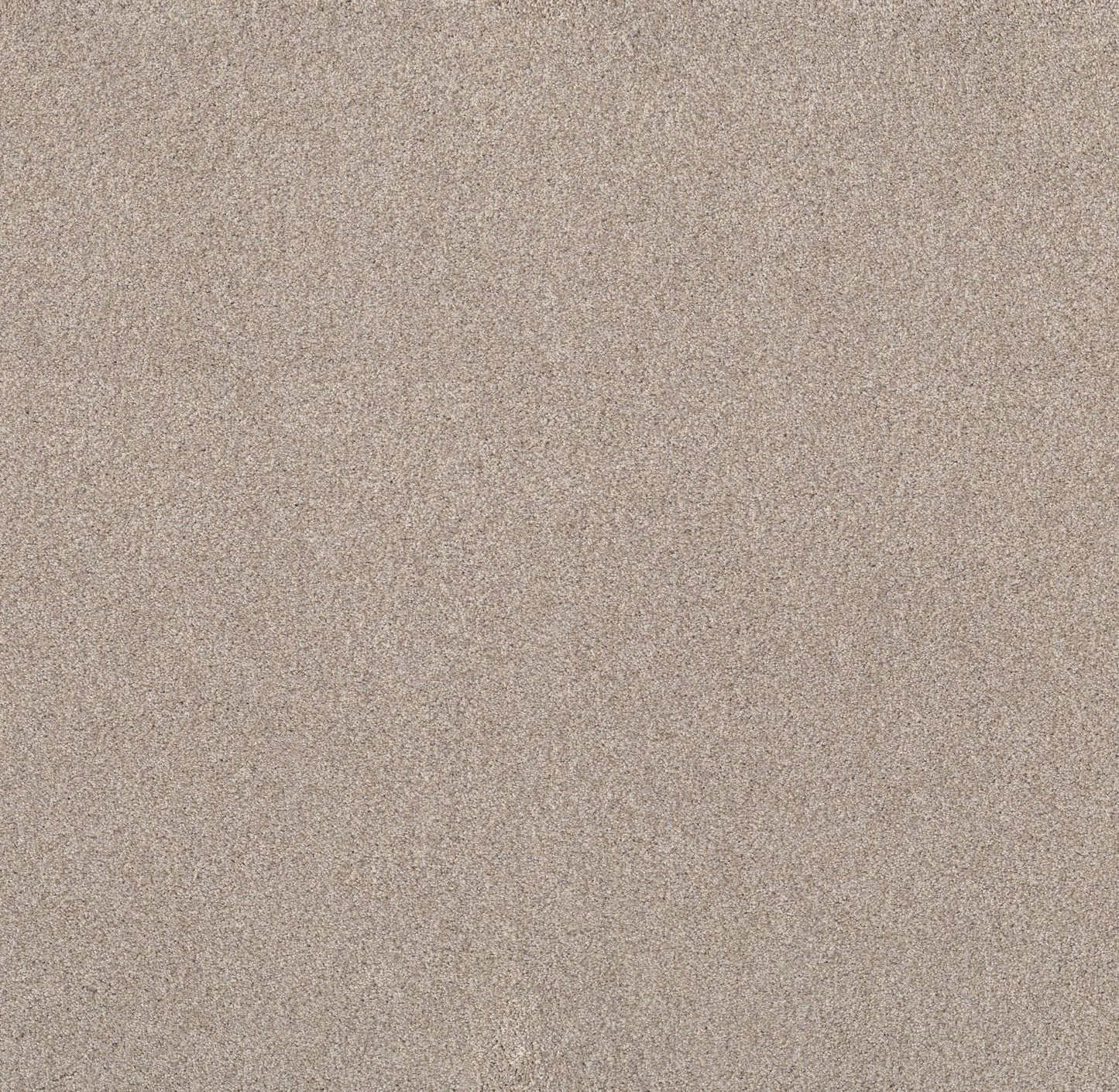 TEXTURE BCF