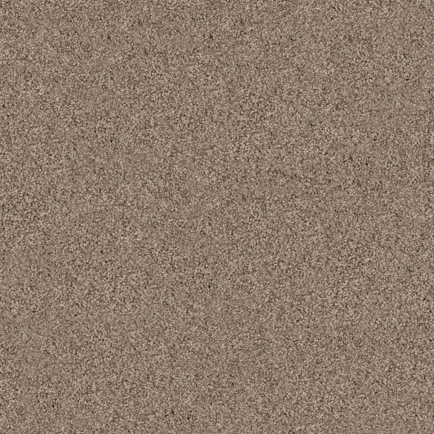 TEXTURE BCF