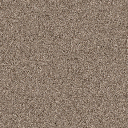 TEXTURE BCF