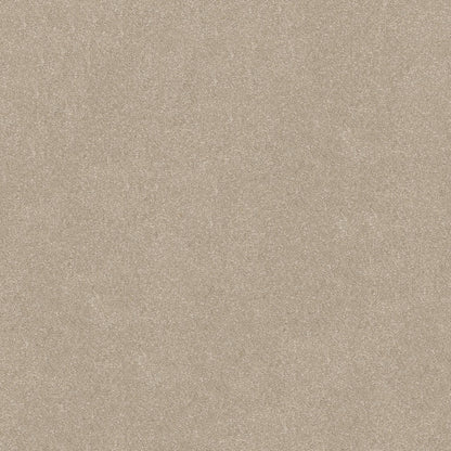 PET BCF