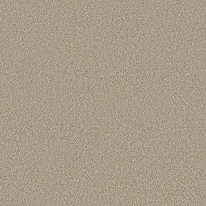 PET BCF