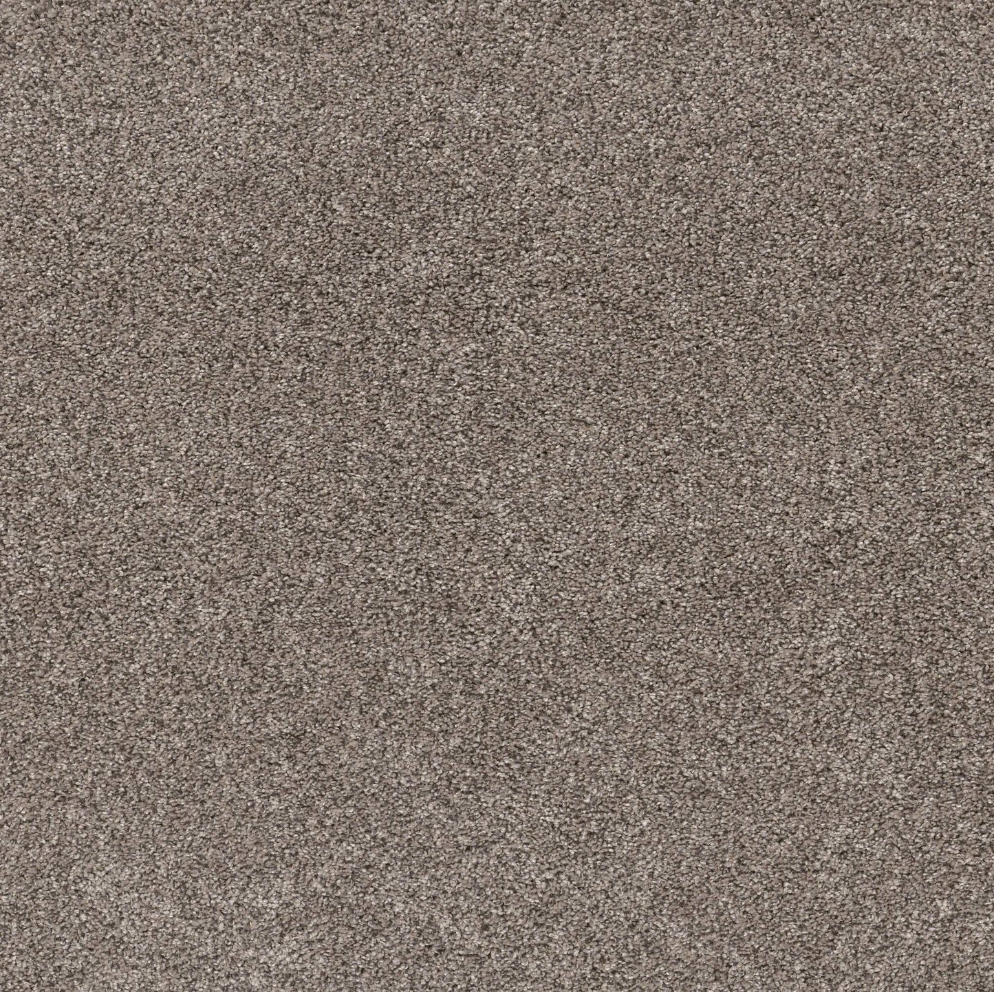 PET BCF