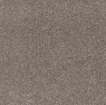 PET BCF