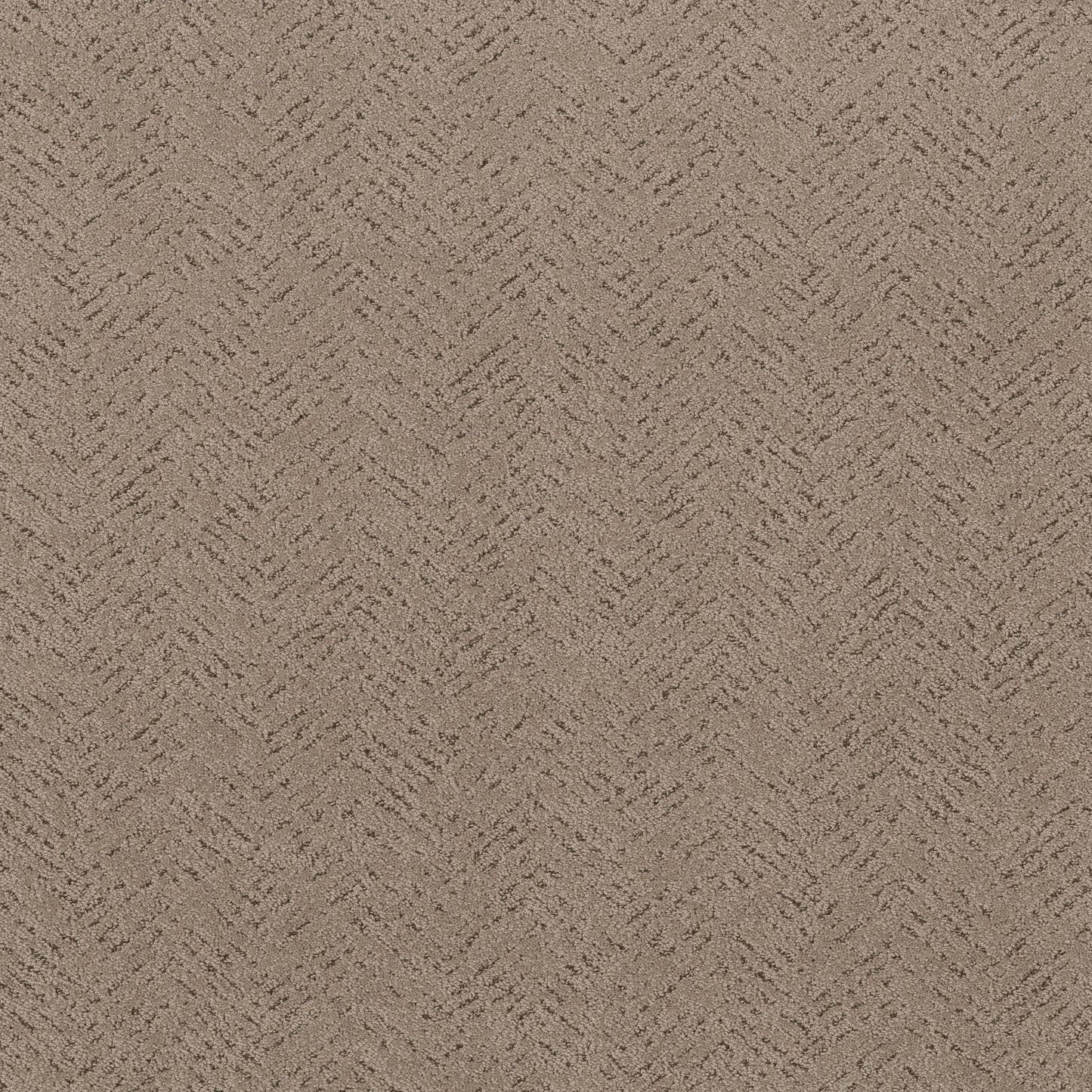 CUT UNCUT  R