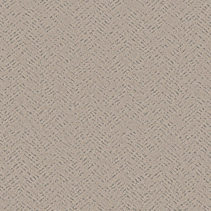 CUT UNCUT  R