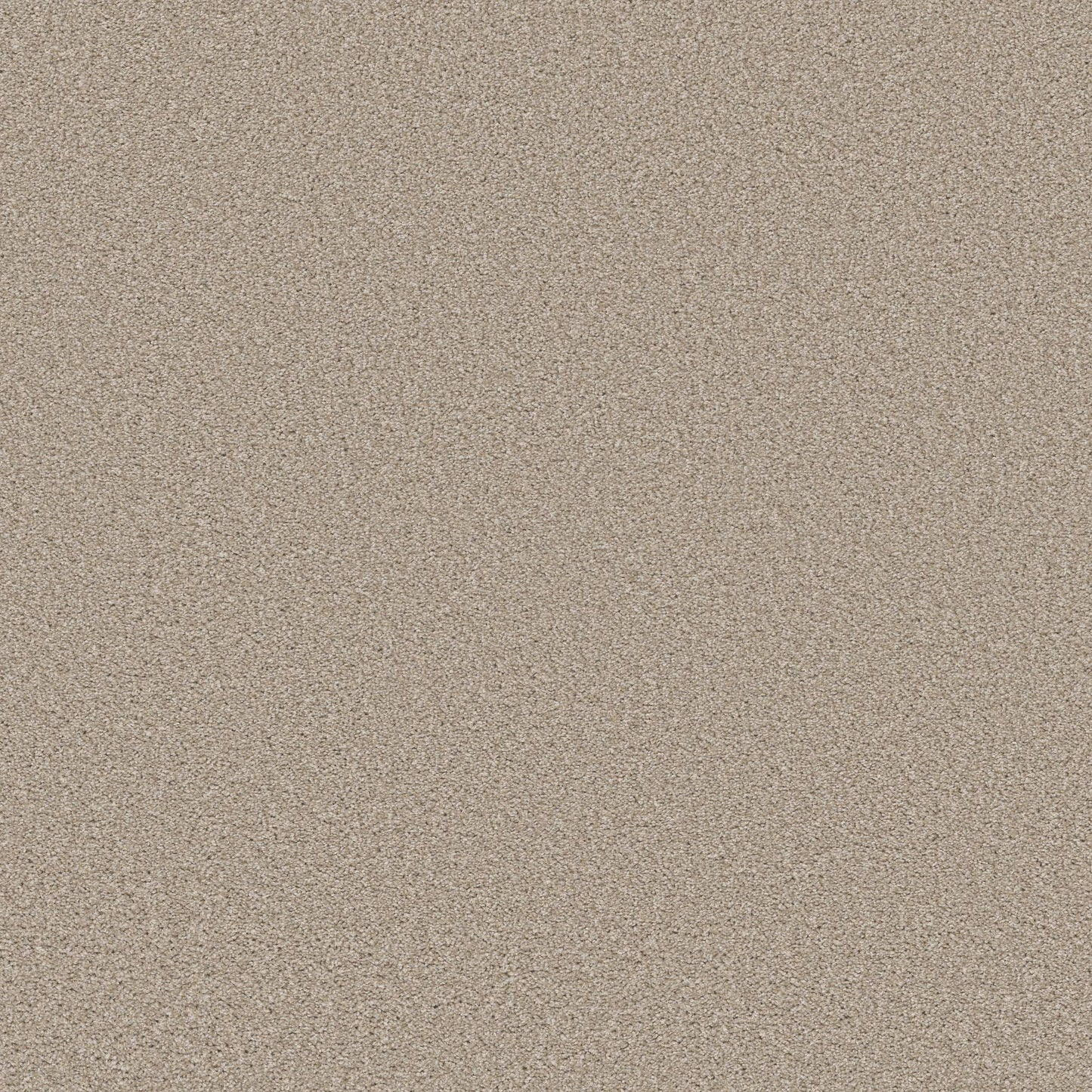 PET BCF