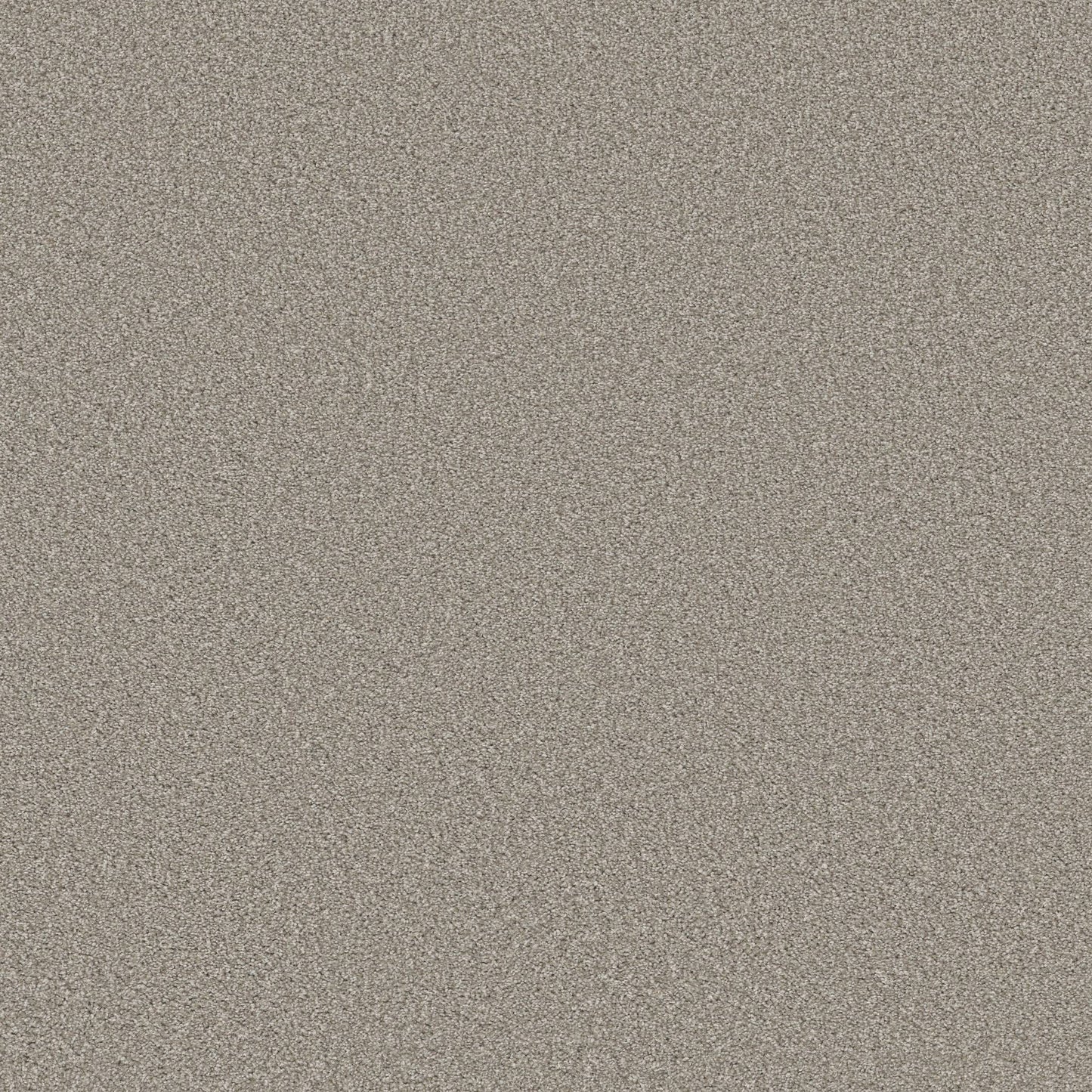 PET BCF