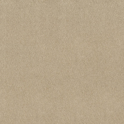 BERBER CUT PILE