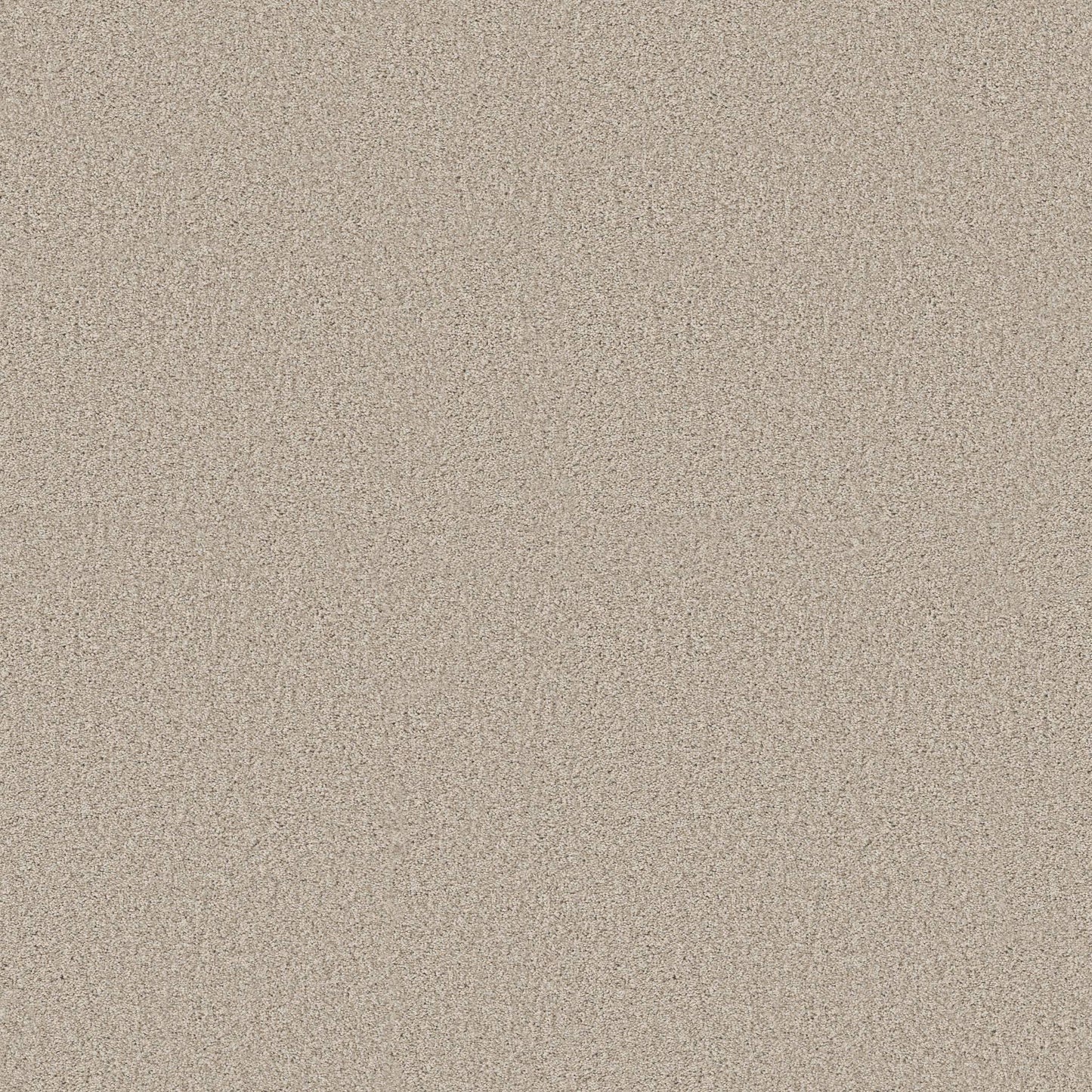 BERBER CUT PILE