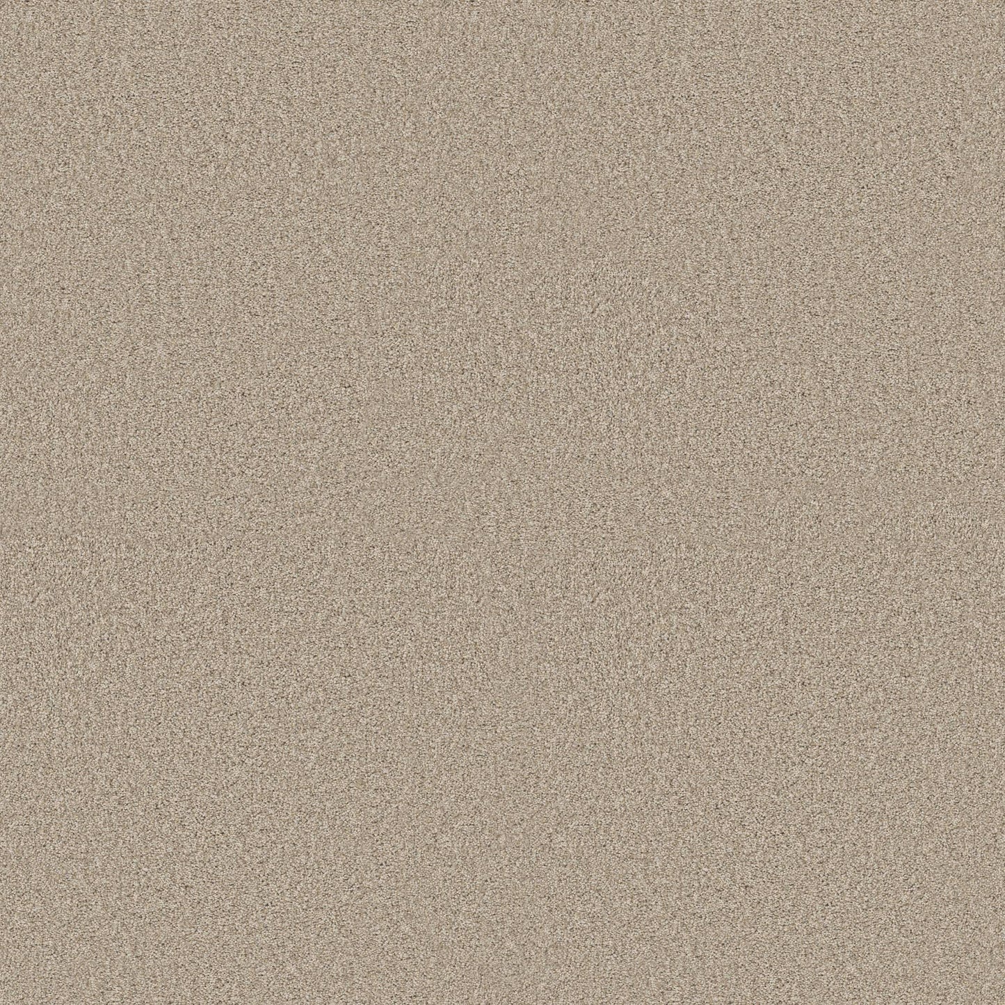 BERBER CUT PILE