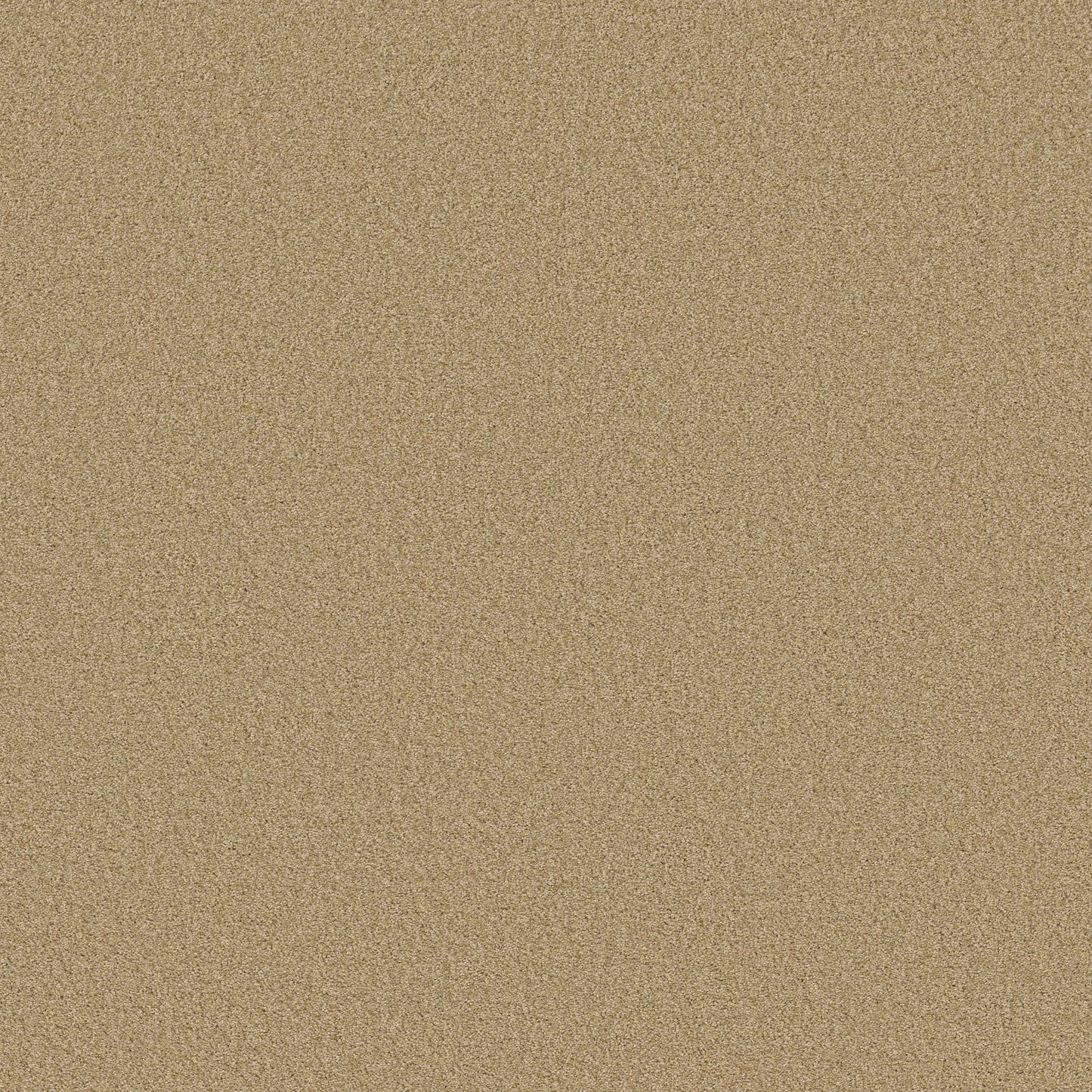 BERBER CUT PILE