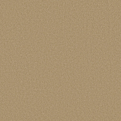 BERBER CUT PILE