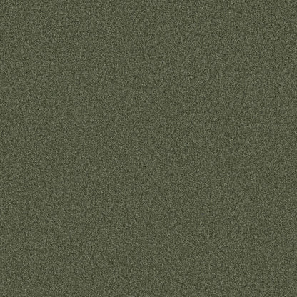 BERBER CUT PILE