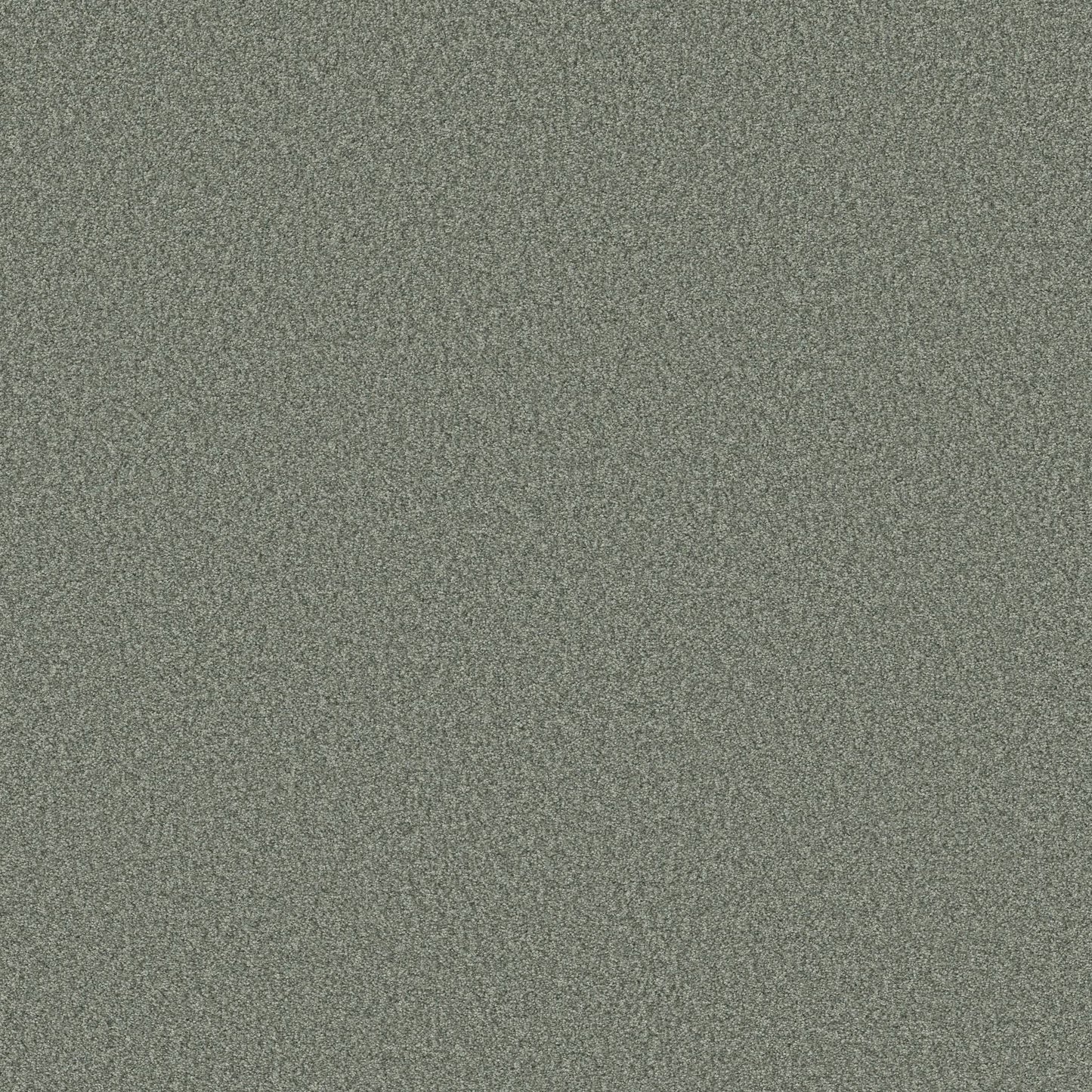 BERBER CUT PILE