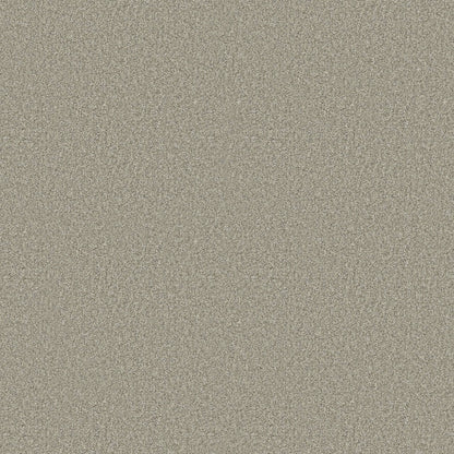 BERBER CUT PILE