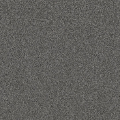 BERBER CUT PILE