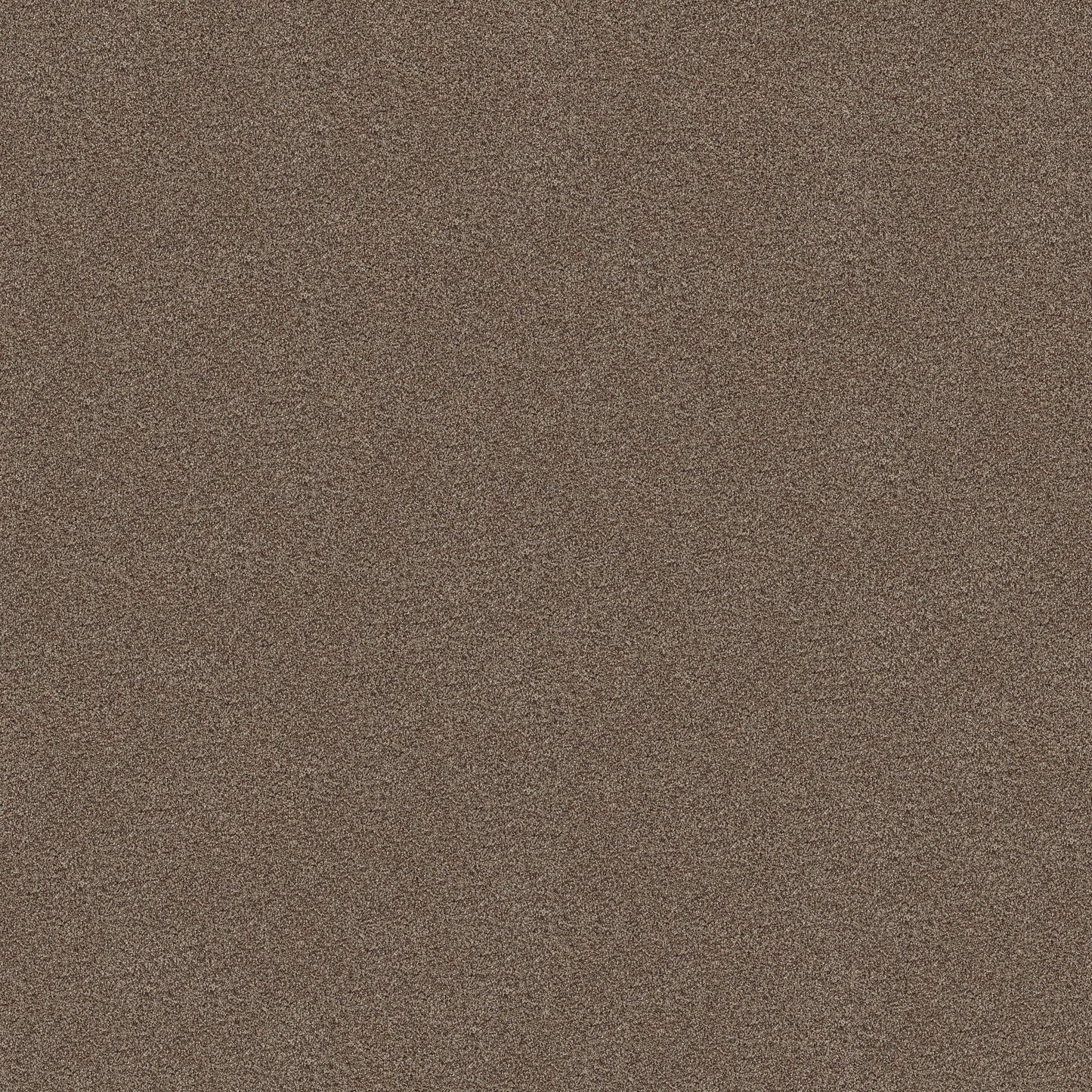 BERBER CUT PILE