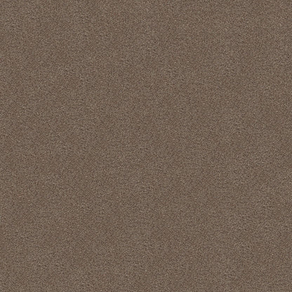 BERBER CUT PILE