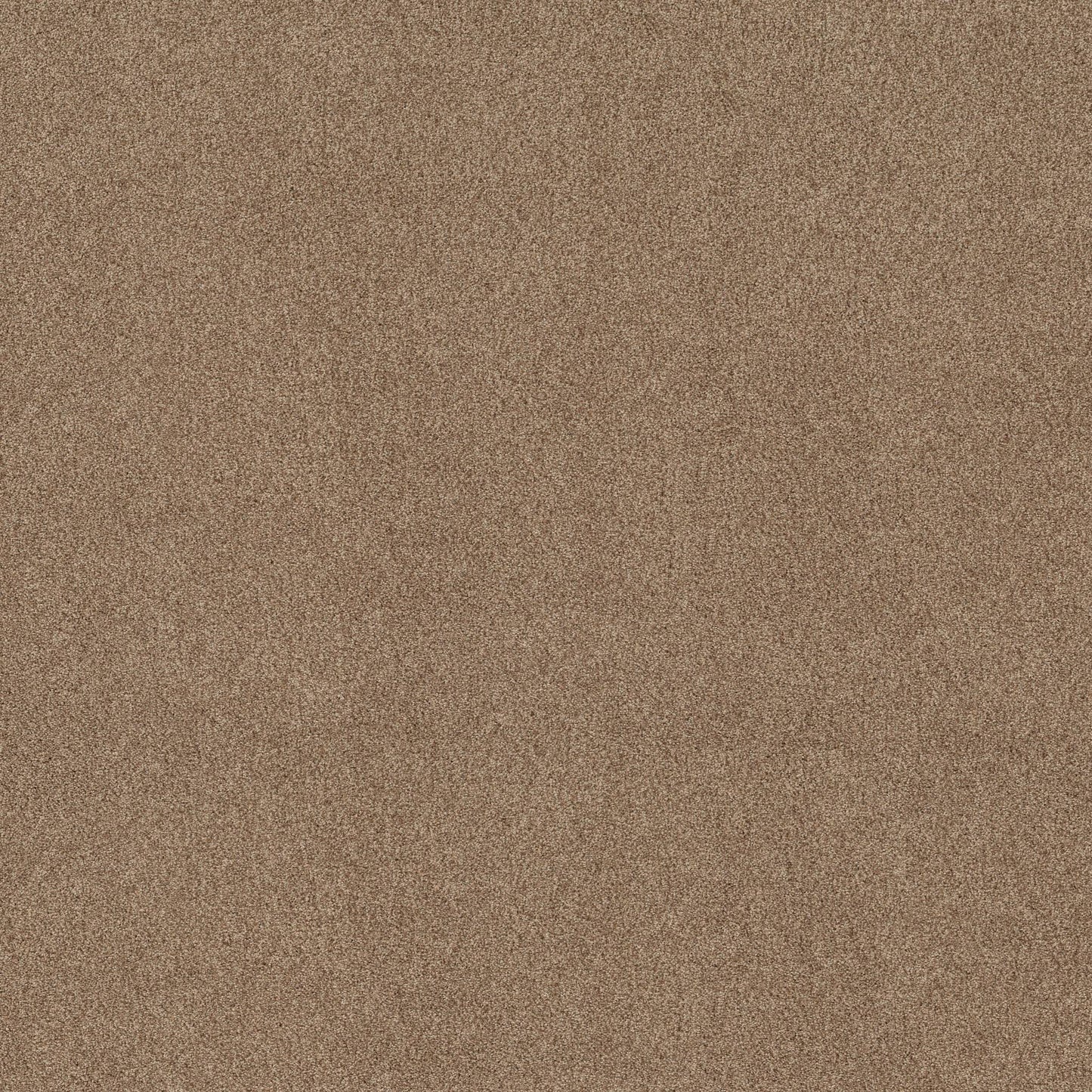 BERBER CUT PILE